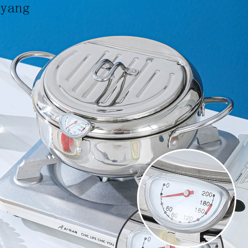 Deep Fryer Pot 2.2L Tempura Fr - Deep Fryer Stainless 评论和价格